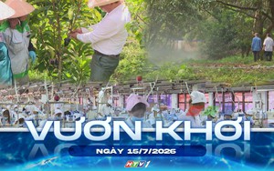Vươn khơi - Ngày 15/7/2026 | Dệt may nỗ lực duy trì đà tăng trưởng xuất khẩu