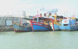 TP. Hồ Chí Minh quyết liệt gỡ “thẻ vàng” IUU