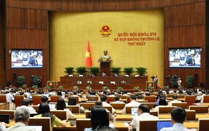 Ngày 11/8, Quốc hội thảo luận dự án Luật Phát triển đô thị
