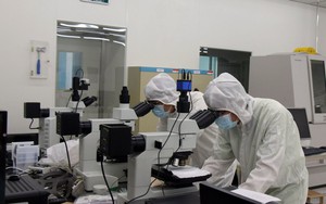 Đưa mạng lưới khoa học quốc tế thành nguồn lực phát triển