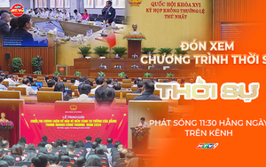 Thời sự trưa HTV ngày 13/8/2026 | Quốc Hội thảo luận sửa đổi các luật thuộc lĩnh vực viễn thông công nghệ