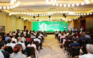 Thị trường carbon Việt Nam chuyển từ chính sách sang hành động