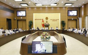 UBTV Quốc hội cho ý kiến với dự thảo nghị quyết về 2 dự án giao thông trọng điểm