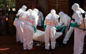 Dịch Ebola: CHDC Congo ghi nhận đợt bùng phát gây tử vong nhiều nhất