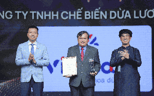 Vietcoco và hành trình nâng giá trị trái dừa Việt