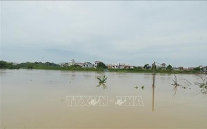 Bắc Ninh rút lệnh báo động I trên sông Lục Nam