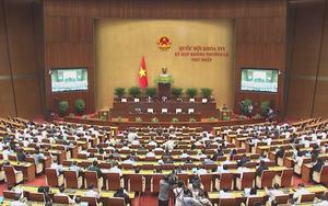 Quốc hội nghe báo cáo tại hội trường 2 dự thảo luật