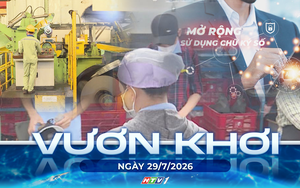 Vươn Khơi - Ngày 6/8/2026 | Triển khai chương trình hành động thúc đẩy tăng trưởng