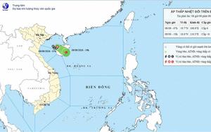 Tin áp thấp nhiệt đới trên biển Đông