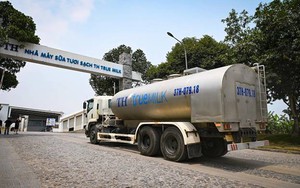 Sữa tươi thanh trùng - phép thử khắt khe cho cam kết “Thật sự thiên nhiên” của TH true MILK