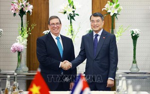Thủ tướng Lê Minh Hưng tiếp Bộ trưởng Ngoại giao Cuba