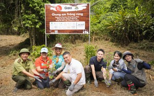 Gần 70.000 cây rừng đầu nguồn được trồng mới trong năm 2026