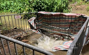 Tìm kiếm nam sinh viên nghi mất tích khi đi qua khu vực ngập sâu ở Hà Nội