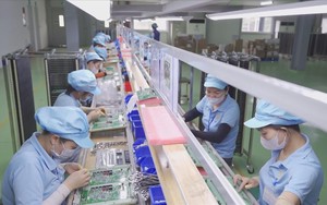 TP. Hồ Chí Minh tháo gỡ khó khăn giúp doanh nghiệp nâng cao sức cạnh tranh xuất khẩu