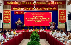 Phường Linh Xuân: Thu ngân sách vượt dự toán, tăng tốc giải ngân đầu tư công