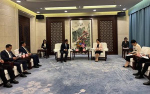 TP. Hồ Chí Minh - Quảng Đông: Thắt chặt tình hữu nghị, mở rộng hợp tác cùng phát triển