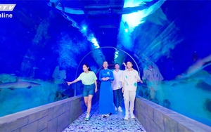 Khám phá Viện Hải dương học Nha Trang