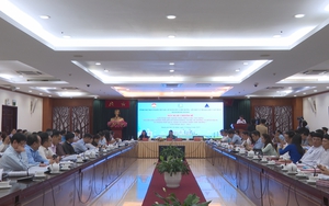 TP.HCM tổ chức Hội nghị, tích cực tham luận các phương án triển khai Chỉ thị 19