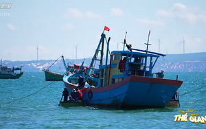 Tấp nập bến sò Chí Công ở Tuy Phong