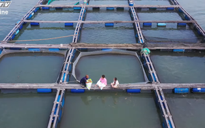 Vi vu làng bè Long Sơn khám phá nghề nuôi thủy sản