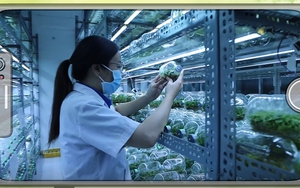 Giải nhất đợt 15: Nông nghiệp công nghệ cao hướng đến hành tinh xanh hơn