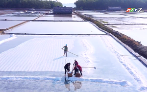 Quang Đắc trải nghiệm làm muối ở Lý Nhơn