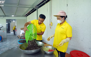 Bách nghệ kỳ thú - Tập 34