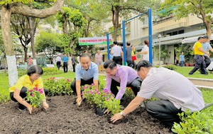 6.200 cây xanh được trồng trên địa bàn quận Phú Nhuận hưởng ứng “Tết trồng cây đời đời nhớ ơn Bác Hồ” năm 2024