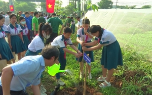 Huyện Bình Chánh trồng 10.000 cây xanh kỷ niệm 134 năm ngày sinh Bác Hồ