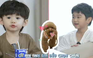Mẹ vắng nhà, Ba là siêu nhân - Tập 11