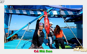 Đến Phú Quý thưởng thức cá mú sao