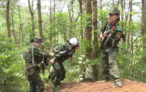 Nỗ lực giải cứu thương binh nơi sa trường
