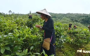 Cùng nhau nếm cả thế gian 2 - Tập 11