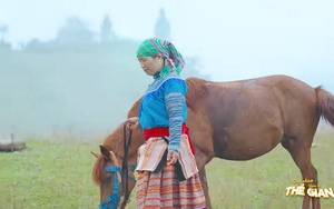 Tìm hiểu về ngựa Bắc Hà