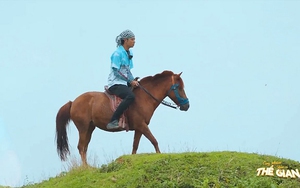 Cưỡi ngựa ngắm phong cảnh từ đỉnh Ngải Thầu