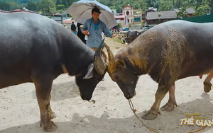 Khám phá sắc màu chợ phiên Bắc Hà