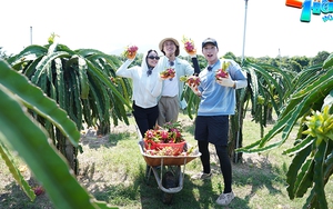 Dương Lâm - HIEUTHUHAI quyết hơn thua đến cùng