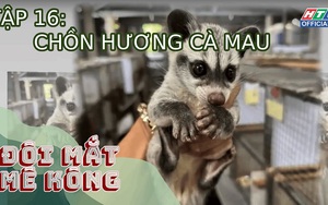 Đôi mắt Mê Kông - Tập 16