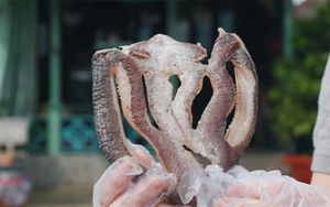Việt Nam đi là ghiền - Mùa 3 - Tập 26