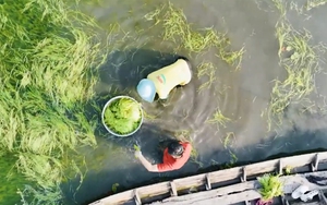 Việt Nam đi là ghiền - Mùa 3 - Tập 27
