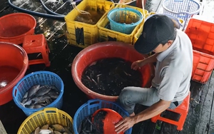 Việt Nam đi là ghiền - Mùa 3 - Tập 28