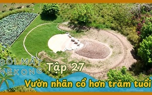 Đôi mắt Mê Kông - Tập 27