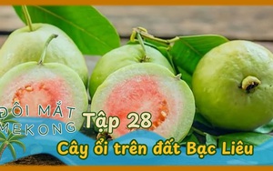 Đôi mắt Mê Kông - Tập 28
