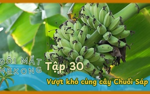 Đôi mắt Mê Kông - Tập 30
