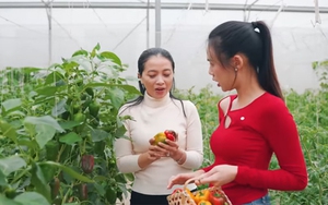 Việt Nam đi là ghiền - Mùa 3 - Tập 30