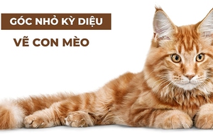 Vẽ con mèo