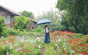 Việt Nam đi là ghiền - Mùa 3 - Tập 34