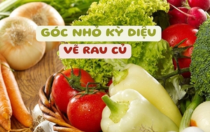 Biến hóa con số thành vườn rau củ ngọt ngào