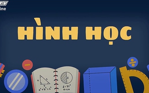 Những điều thú vị về hình học