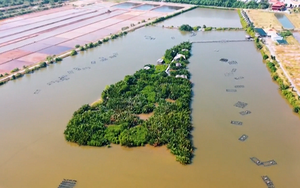 Một ngày với "Người giữ rừng"